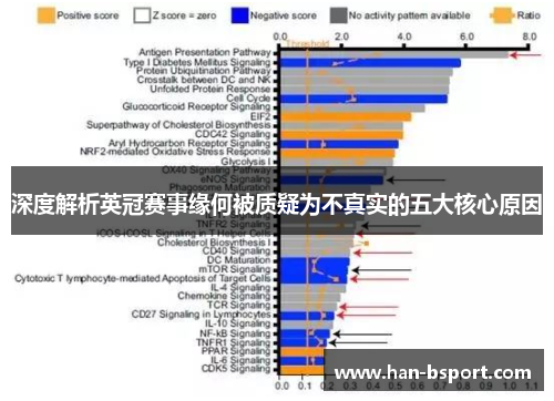 深度解析英冠赛事缘何被质疑为不真实的五大核心原因