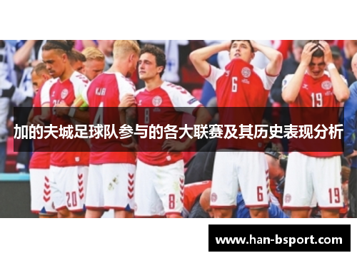 加的夫城足球队参与的各大联赛及其历史表现分析