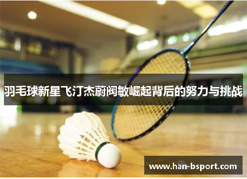 羽毛球新星飞汀杰蔚阀敏崛起背后的努力与挑战