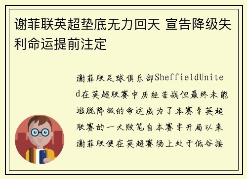 谢菲联英超垫底无力回天 宣告降级失利命运提前注定